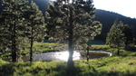 photo thumbnail #15