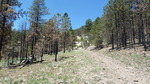 photo thumbnail #1