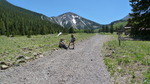 photo thumbnail #8