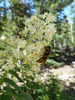 photo thumbnail #14