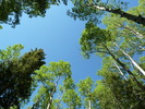 photo thumbnail #15