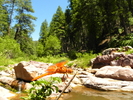 photo thumbnail #2