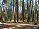 photo thumbnail #9