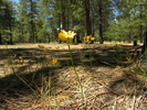 photo thumbnail #2