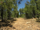 photo thumbnail #10