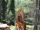 photo thumbnail #3