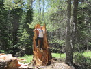photo thumbnail #4