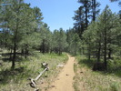 photo thumbnail #13