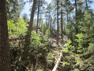 photo thumbnail #14