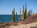 photo thumbnail #5