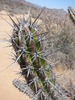 photo thumbnail #9
