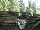 photo thumbnail #1