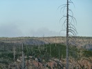 recent photo