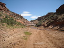 photo thumbnail #14
