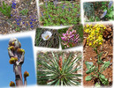 photo thumbnail #11
