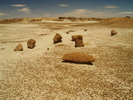 photo thumbnail #15