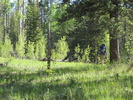 photo thumbnail #3