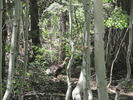 photo thumbnail #11