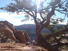 photo thumbnail #5