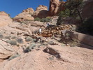 photo thumbnail #7