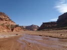 photo thumbnail #14