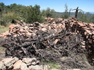photo thumbnail #15