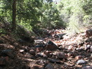 photo thumbnail #1