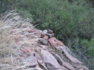 photo thumbnail #9