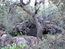 photo thumbnail #14