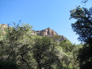 photo thumbnail #15