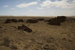 photo thumbnail #11