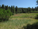 photo thumbnail #4