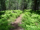 photo thumbnail #7