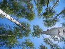 photo thumbnail #8