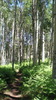 photo thumbnail #11