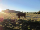photo thumbnail #2
