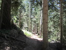 photo thumbnail #2