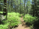 photo thumbnail #3