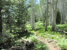 photo thumbnail #7