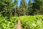 photo thumbnail #10