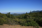 photo thumbnail #10