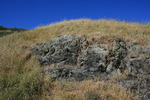 photo thumbnail #12