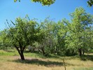 photo thumbnail #4