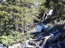 photo thumbnail #6