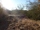 photo thumbnail #11