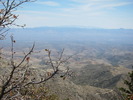 photo thumbnail #5