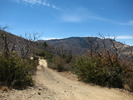 photo thumbnail #10