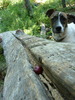 photo thumbnail #2