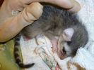 photo thumbnail #1