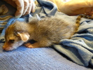 photo thumbnail #2